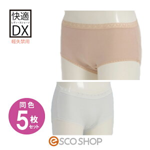 (F5Zbg)KV[cDX pEyփV[c AR pc gC⏕pi  Mtg v[g