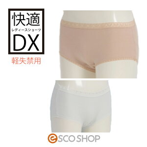 KV[cDX pEyփV[c AR pc gC⏕pi [  Mtg v[g