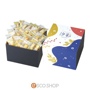  ЂƂ ʊC̍K  CV} z T_ Ăo`ݖ Mtg  [J[ s s