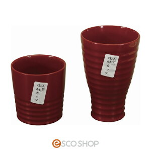 ؐĒJbvZbg h2 ̓ ؐ Mtg 蕨 v[g  [J[ s s