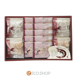 тMtgԂ mtC@ Mtg jԂ [J[ s s