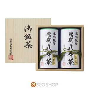 li˔jS S   ㎿ Mtg 蕨 v[g  [J[ s s