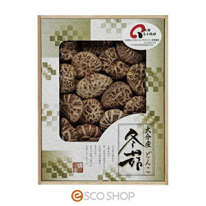 啪YőԂǂ񂱁iؔj啪 R ؒő Mtg 蕨 v[g  [J[ s s