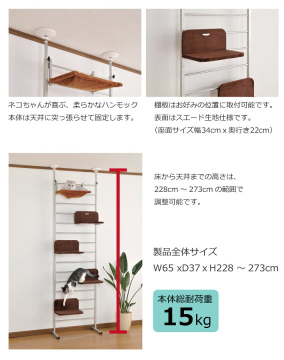 楽天市場】Bonbi ボンビアルコン キャットウォーク CW-SB キャット 