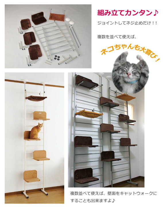 楽天市場 ボンビアルコン キャットウォーク Cw Sbキャットタワー キャットポール ねこタワー 突っ張り スリム おしゃれ 省スペース 猫タワー 猫グッズ 送料無料 同梱不可 ペット用品専門店 Amour アムール