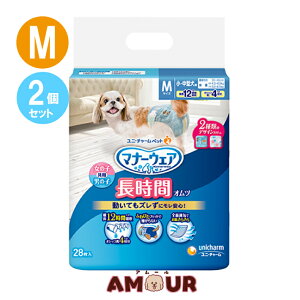 (2Zbg) j`[ybg }i[EFA ybgp Ic ^p MTCY 28 ނ  p p 