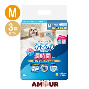 (3Zbg) j`[ybg }i[EFA ybgp Ic ^p MTCY 28 ނ  p p 