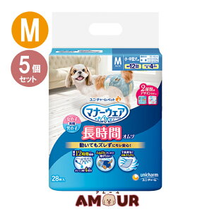 (5Zbg) j`[ybg }i[EFA ybgp Ic ^p MTCY 28 ނ  p p 