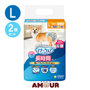 yyz(2Zbg) j`[ybg }i[EFA ybgp Ic ^p LTCY 26  p p 