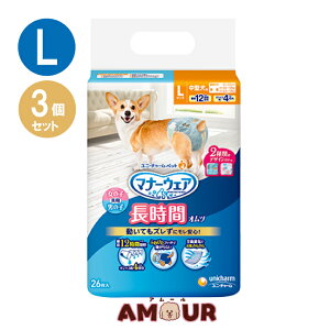 yyz(3Zbg) j`[ybg }i[EFA ybgp Ic ^p LTCY 26  p p 