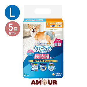 yyz(5Zbg) j`[ybg }i[EFA ybgp Ic ^p LTCY 26  p p 