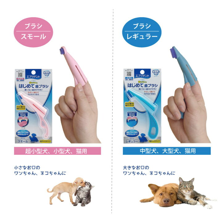 112円 ギフト エブリデント 指サックde歯みがき 35枚入 112円 ギフト エブリデント 指サックde歯みがき 35枚入