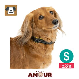 ペタプラス YORISOUカラー Sサイズ 犬用首輪 ケア用品 送料無料