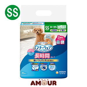 j`[ybg }i[EFA ybgp Ic ^ ^p SSTCY 30ނ  p p jE`[ ybg 