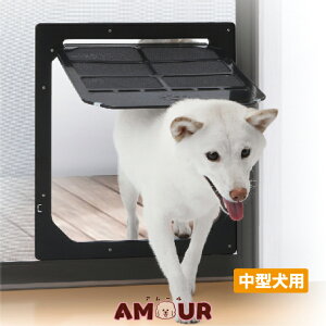 ^JY Ԍːp Lo LTCY ^p PD3742 Lo ybgpi  L ֗ObY 