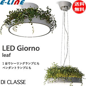 DI CLASSE LED V[OCg y_gCg k [t O[ t LC3135GR  Rt Giorno Wm V[O ݂艺 CeA Ɩ uv
