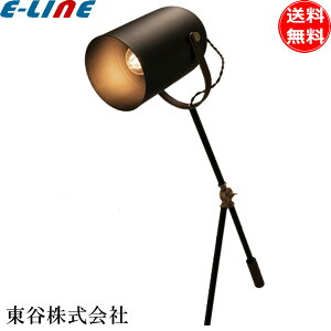 Ɩ ܂ŎBei Or tAX^h 1^Cv Mt Ԃ X^CbV CeAɂ A[ uv