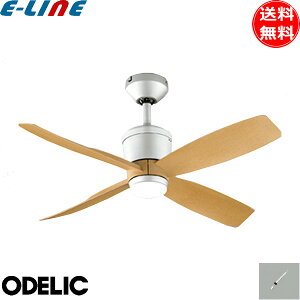 I[fbN WF091P1+WF611P1 V[Ot@ ^ pCv300mm XΓVΉ25°  ؖ 4H Rt  ODELIC uv