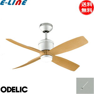 I[fbN WF091P1+WF612P1 V[Ot@ ^ pCv600mm XΓVΉ35°  ؖ Rt  ODELIC uv