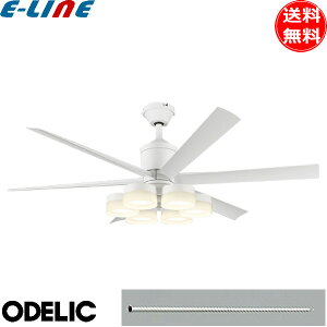 I[fbN WF239P1+WF257PR+WF735P1 LEDV[Ot@Cg 10 F  pCv2000 XΓV䉞35°vH Rt ODELIC uv