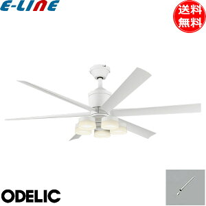 I[fbN WF239P1+WF258PR+WF731P1 LEDV[Ot@Cg 8 F  pCv300 XΓVΉ25°Rt  ODELIC uv