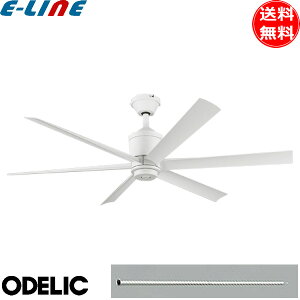I[fbN WF239P1+WF735P1 V[Ot@ DC[^[ pCv200cm t@ @ XΓV Rt  vH Ɩ ODELIC uv