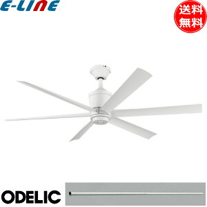 I[fbN WF239P1+WF736P1 V[Ot@ DC[^[ pCv250cm t@ @ XΓV Rt  vH Ɩ ODELIC uv