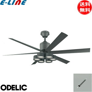 I[fbN WF249P1+WF289PR+WF737P1 LEDV[Ot@Cg 10 F  pCv300 XΓVΉ25° Rt  ODELIC v