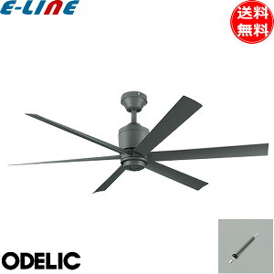 I[fbN WF249P1+WF737P1 V[Ot@ DC[^[ pCv300 XΓVΉ25° 6H Rt  ODELIC uv