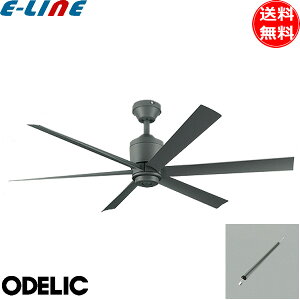 I[fbN WF249P1+WF738P1 V[Ot@ pCv600 DC[^[ XΓVΉ35° 6H Rt  ODELIC uv
