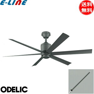 I[fbN WF249P1+WF739P1 V[Ot@ pCv900 DC[^[ XΓVΉ35° 6H Rt  ODELIC uv