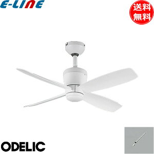 I[fbN WF811P1+WF731P1 V[Ot@ ^ pCv300mm DC[^[ XΓVΉ30° 4H Rt  ODELIC uv