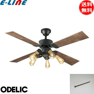 I[fbN WF831P1+WF835LC+WF837P1 V[Ot@Cg uE 5 dF pCv600mm 4H Rtuv