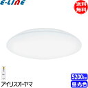 アイリスオーヤマ CEA-2312D LEDシーリングライト 12畳 昼光色 調光 LED 節電 CEA2312D「送料無料」