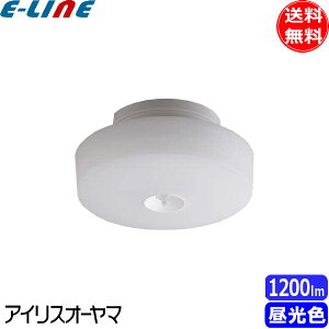 ACXI[} SCL12DMS-MCHL LED^V[OCg lZT[t ^T[Lbg 1200lm F SCL12DMSMCHLuv