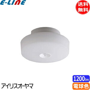 ACXI[} SCL12LMS-MCHL LED^V[OCg lZT[t ^T[Lbg 1200lm dF SCL12LMSMCHLuv