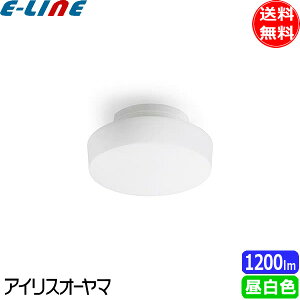 �A�C���X�I�[���} SCL12N-MCHL LED���^�V�[�����O���C�g ���^���T�[�L�b�g 1200lm �����F SCL12NMCHL�u���������v