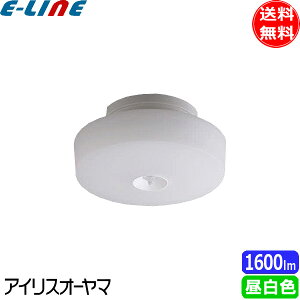 ACXI[} SCL16NMS-MCHL LED^V[OCg lZT[t ^T[Lbg 1600lm F SCL16NMSMCHLuv