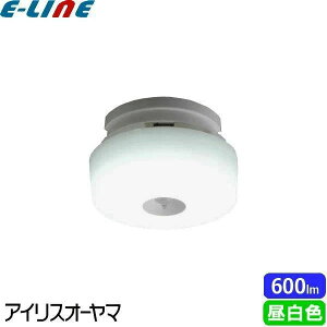 ACXI[} SCL6NMS-MCHL LED^V[O lZT[ 600lm F SCL6NMSMCHLu敪Bv