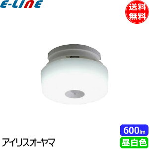 ACXI[} SCL6NMS-MCHL LED^V[OCg lZT[t ^T[Lbg 600lm F SCL6NMSMCHLuv