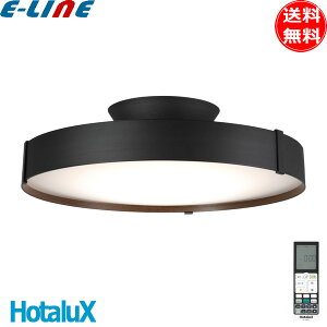 �z�^���N�X HLDC08A445KSG LED�V�[�����O���C�g �ی^ 8�� �����F �ԐڏƖ��t�� �u���������v