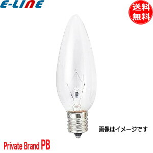 Private Brand VfAd 40W E12 LC110V40WEC/E12/D 32~a 40` 110Vp NA E12 S96mm (G73NHC) uv