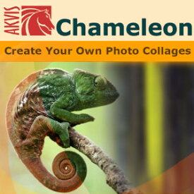 【35分でお届け】AKVIS Chameleon for Mac Home プラグイン v.12.0【shareEDGEプロジェクト】【ダウンロード版】