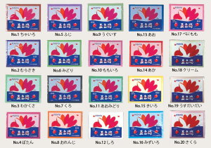 yۈ牀EwZpyъށzܐF_͂Ȃ݁E50010܃Zbg