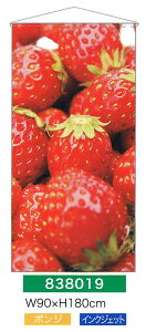 yEÊڂzy^yXg[(󒍐Yi)z^yXg[(hHi)Eʎޕ