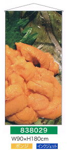 yEÊڂzy^yXg[(󒍐Yi)z^yXg[Eދޕ