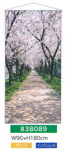 yEÊڂzy^yXg[(󒍐Yi)z^yXg[E؂̉ԍޕ