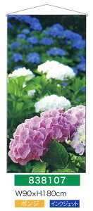 yEÊڂzy^yXg[(󒍐Yi)z^yXg[(hHi)Eĕ