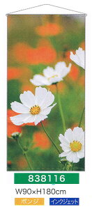 yEÊڂzy^yXg[(󒍐Yi)z^yXg[EH