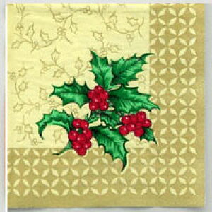 | fRp[W y[p[ivL fRp[Wp y[p[ NX}X Chiristmas xmas y[p[itL@xmasE|CZ`A